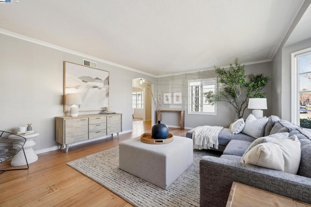 living room with crown molding, a healthy amount of sunlight, and light hardwood / wood-style floors