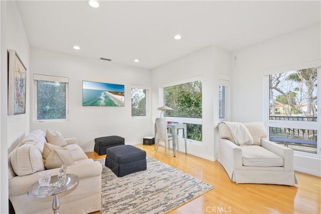 living room with hardwood / wood-style flooring