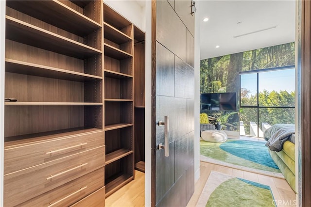 spacious closet featuring light wood finished floors