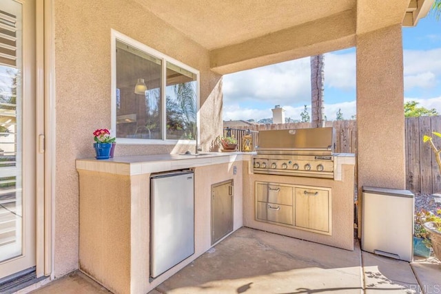 view of patio / terrace with grilling area and an outdoor kitchen