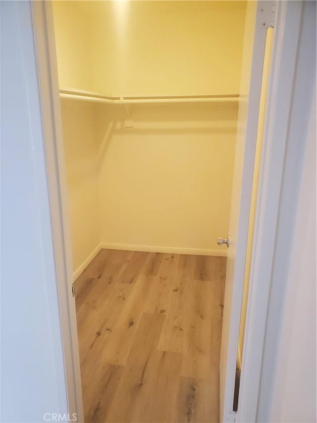 spacious closet featuring wood-type flooring