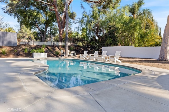 view of pool with a patio