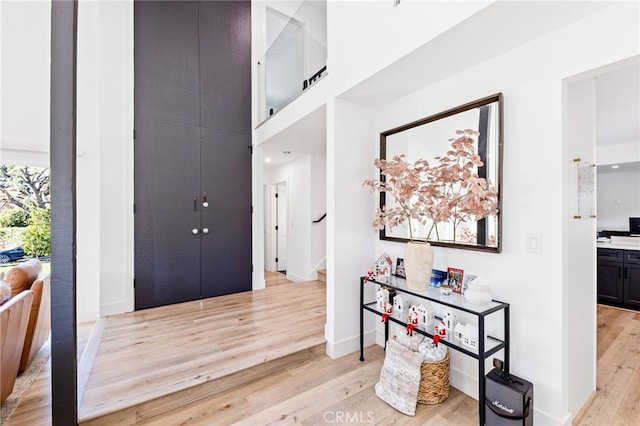 foyer entrance featuring light hardwood / wood-style floors and a high ceiling