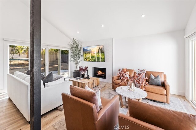 living room featuring high vaulted ceiling, a healthy amount of sunlight, and light hardwood / wood-style floors