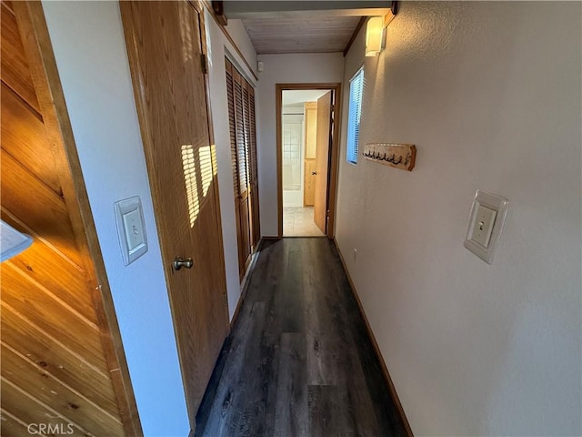 corridor featuring dark hardwood / wood-style flooring