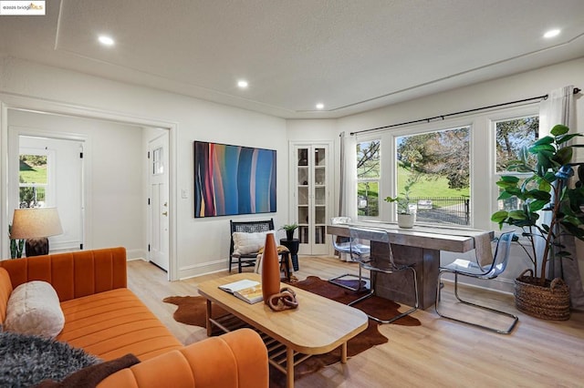 living room featuring light hardwood / wood-style floors