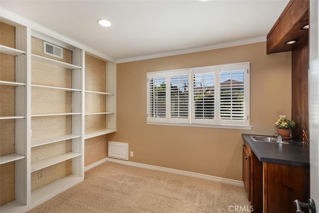 interior space featuring light colored carpet, ornamental molding, and sink