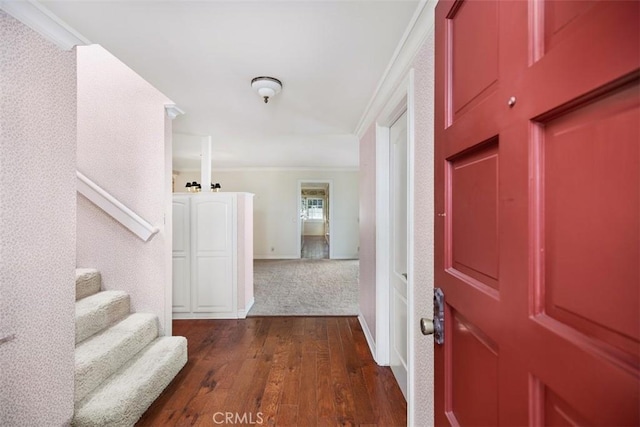 foyer entrance with dark wood-type flooring and ornamental molding