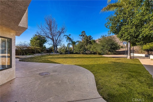 view of yard featuring a patio