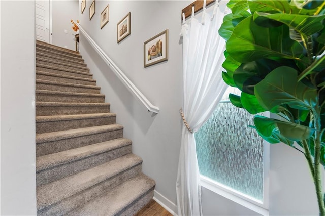 stairway featuring wood-type flooring