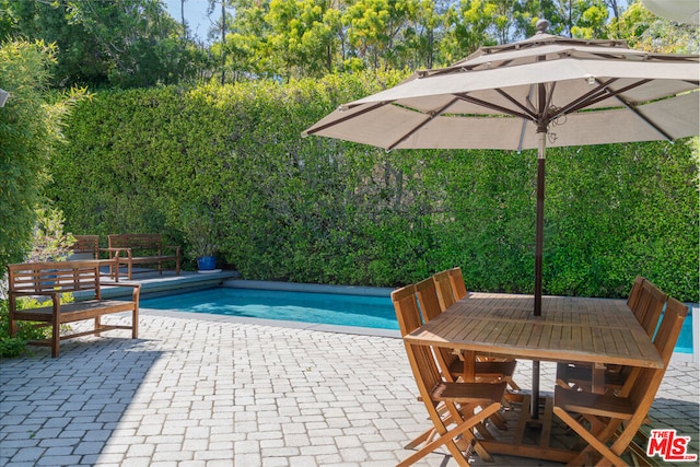 view of swimming pool featuring a patio