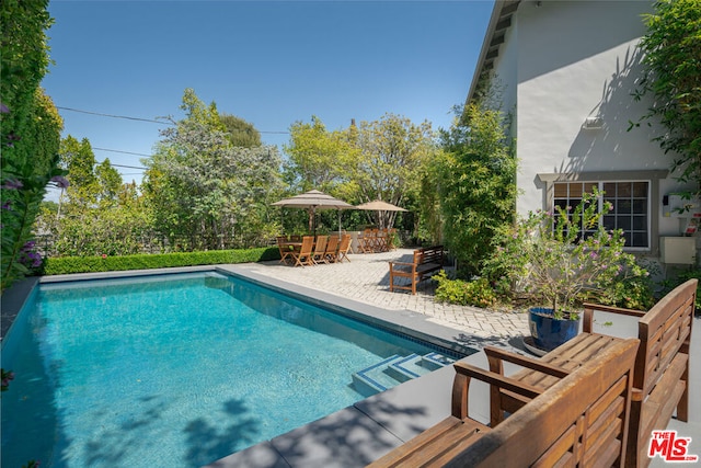 view of swimming pool with a patio