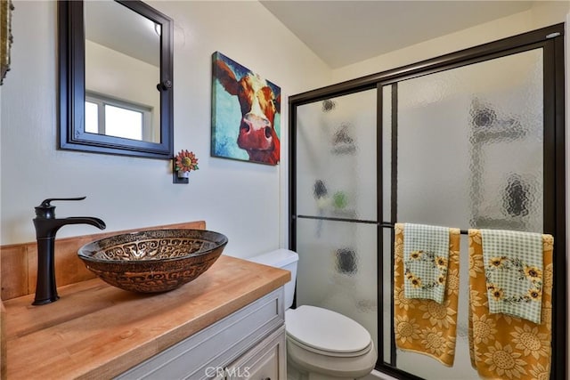 bathroom featuring vanity, an enclosed shower, and toilet