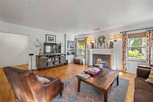 living room with a fireplace and wood-type flooring