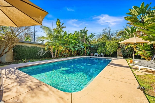 view of swimming pool