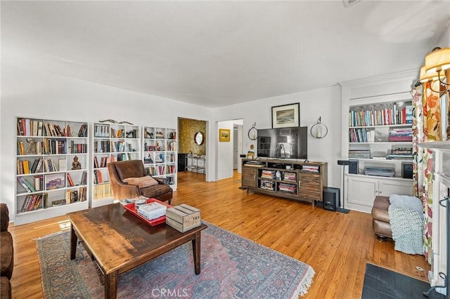 living room featuring light hardwood / wood-style floors