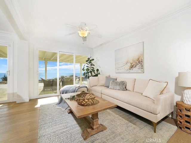 living room with crown molding, ceiling fan, and light wood-type flooring