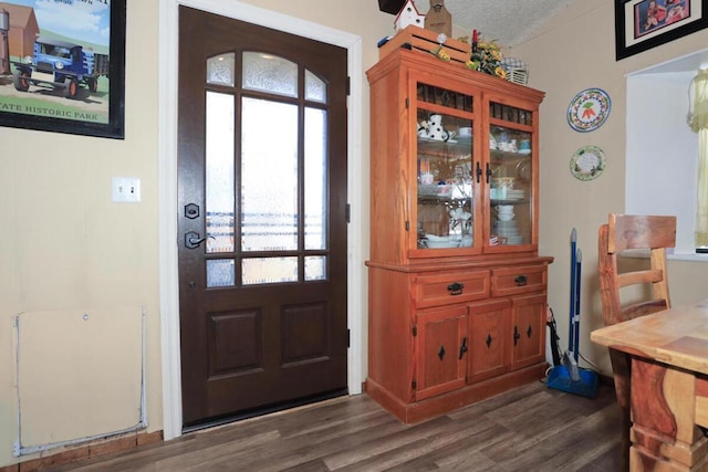 foyer with a textured ceiling and dark hardwood / wood-style floors