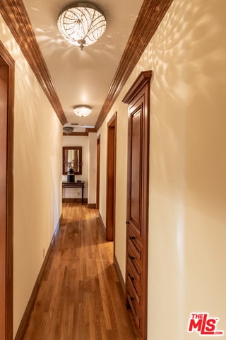 hallway featuring ornamental molding and dark wood-type flooring