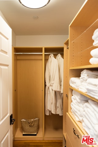 walk in closet featuring wood-type flooring