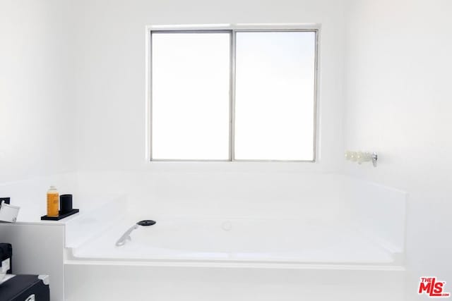 bathroom featuring a bathtub