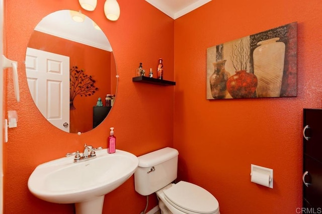 bathroom featuring sink, toilet, and ornamental molding