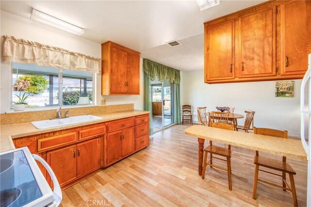 kitchen with sink, white appliances, light hardwood / wood-style flooring, and plenty of natural light