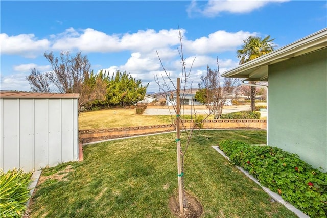 view of yard with a storage unit