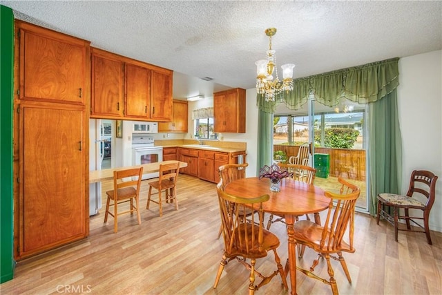 dining space featuring light hardwood / wood-style floors, plenty of natural light, and a textured ceiling