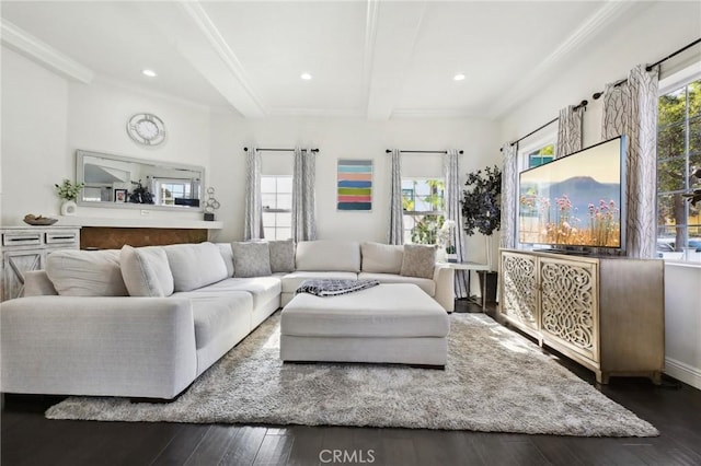 living room featuring dark hardwood / wood-style flooring, beam ceiling, and ornamental molding