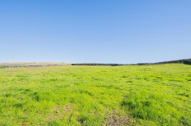 view of local wilderness with a rural view