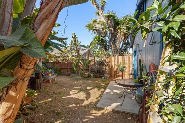 view of yard with a patio area