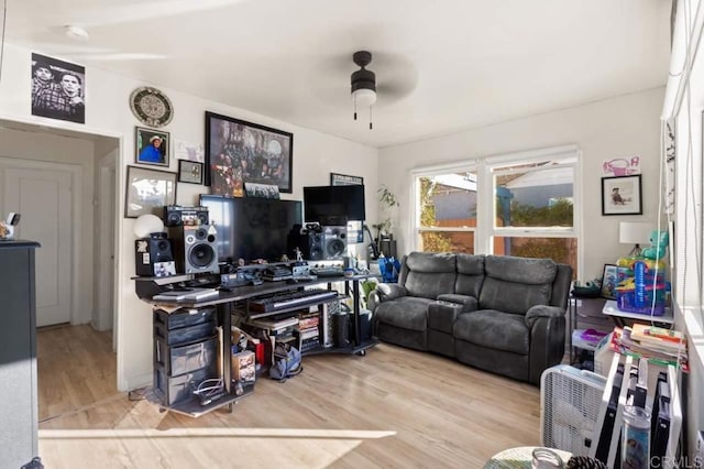 living room with ceiling fan and wood-type flooring