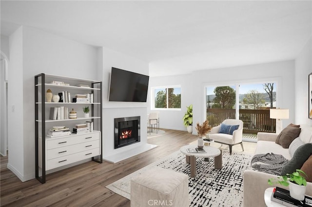 living room with hardwood / wood-style floors