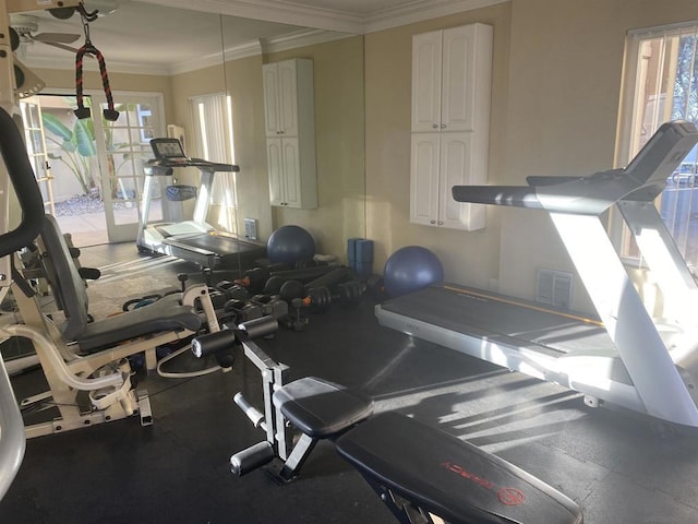 exercise room featuring a healthy amount of sunlight and ornamental molding