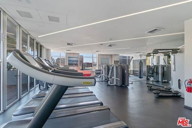 workout area featuring floor to ceiling windows