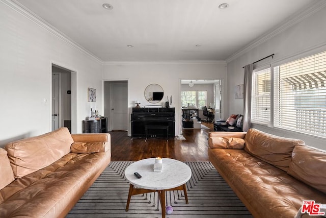 living room featuring ornamental molding and dark hardwood / wood-style flooring