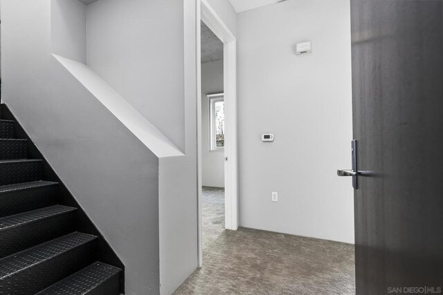 staircase with carpet floors