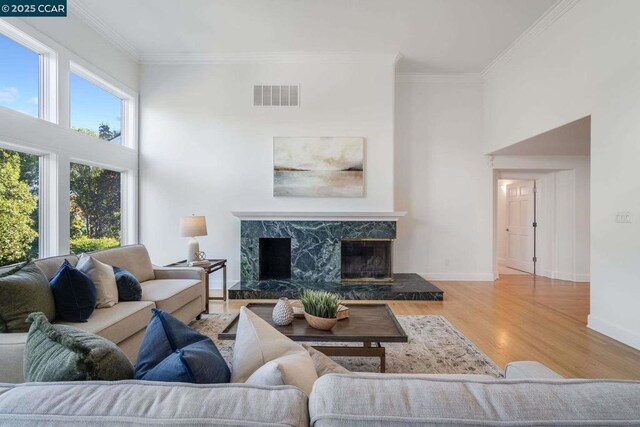 living room with light hardwood / wood-style floors, ornamental molding, and a fireplace