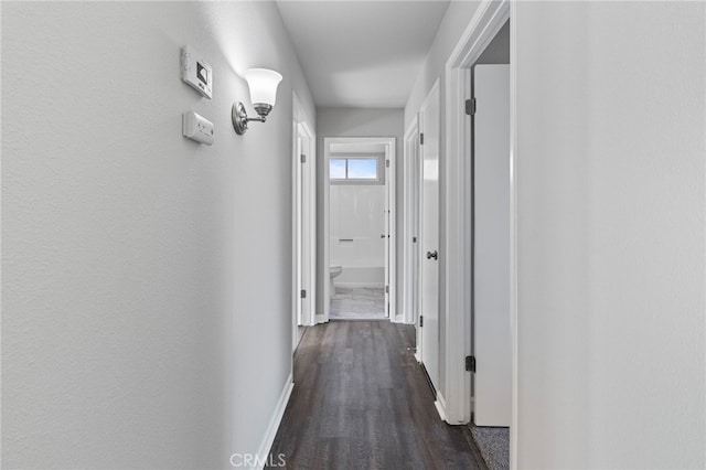 hall with dark hardwood / wood-style floors