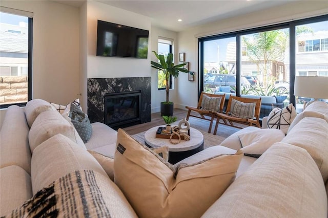 living room with hardwood / wood-style flooring and a high end fireplace