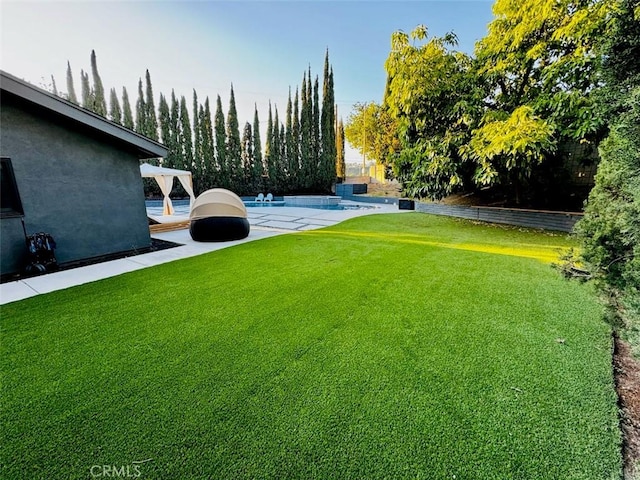 view of yard with a patio