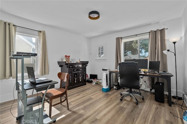 office featuring wood-type flooring