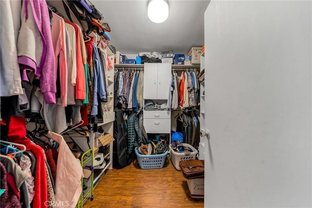 walk in closet with wood-type flooring