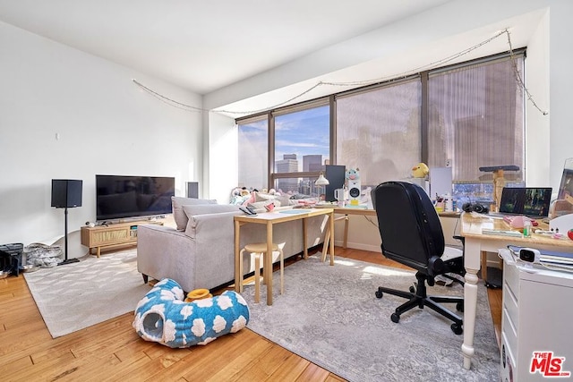 office area featuring wood-type flooring