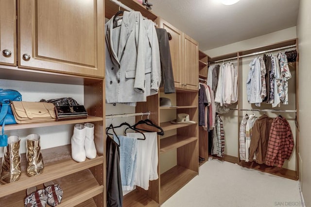 view of spacious closet