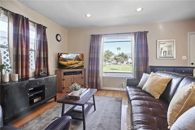 living room featuring hardwood / wood-style floors