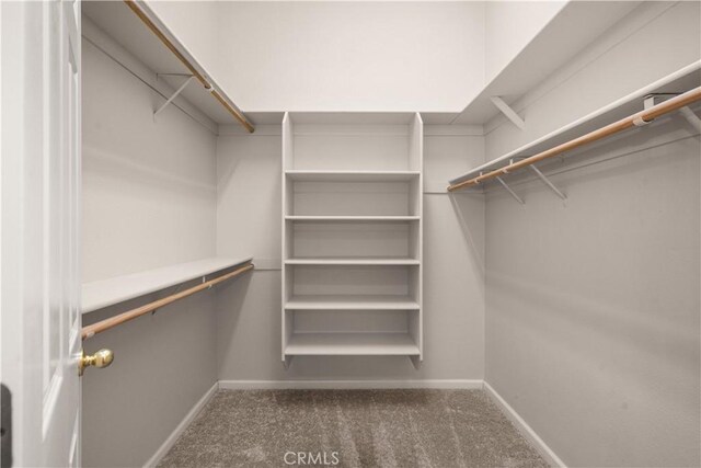 spacious closet with dark carpet