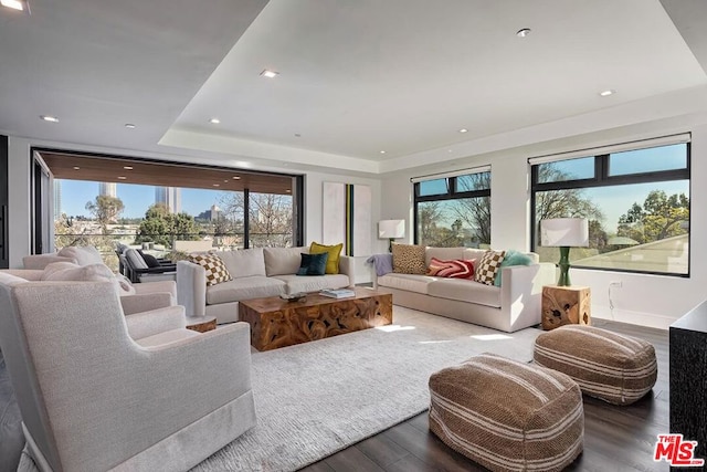 living room with a tray ceiling and hardwood / wood-style floors