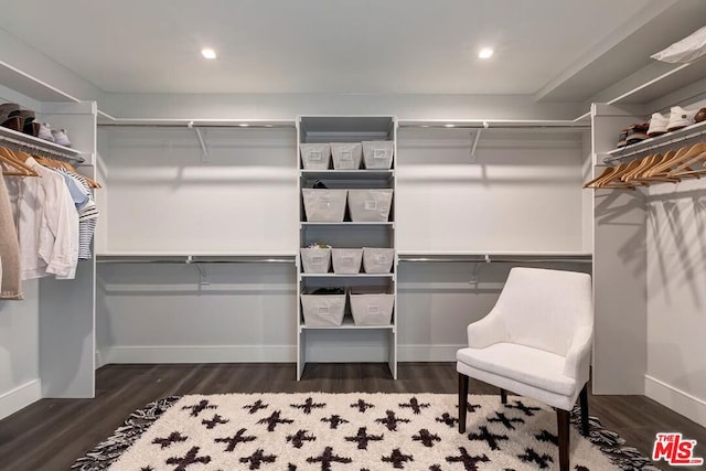 walk in closet featuring dark hardwood / wood-style floors